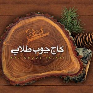 کارت ویزیت pvc - داتکو - 2246