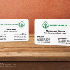 کارت ویزیت pvc - داتکو - 5473
