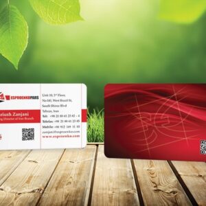 کارت ویزیت pvc - داتکو - 5479