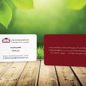 کارت ویزیت pvc - داتکو - 5497