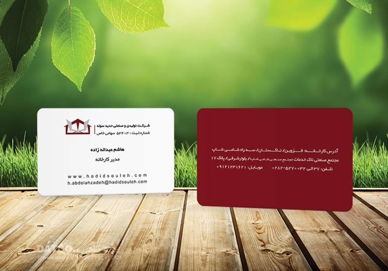 کارت ویزیت pvc - داتکو - 5497