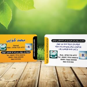 کارت ویزیت pvc - داتکو - 5501