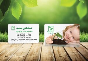 کارت ویزیت pvc - داتکو - 5513