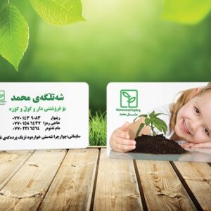 کارت ویزیت pvc - داتکو - 5513