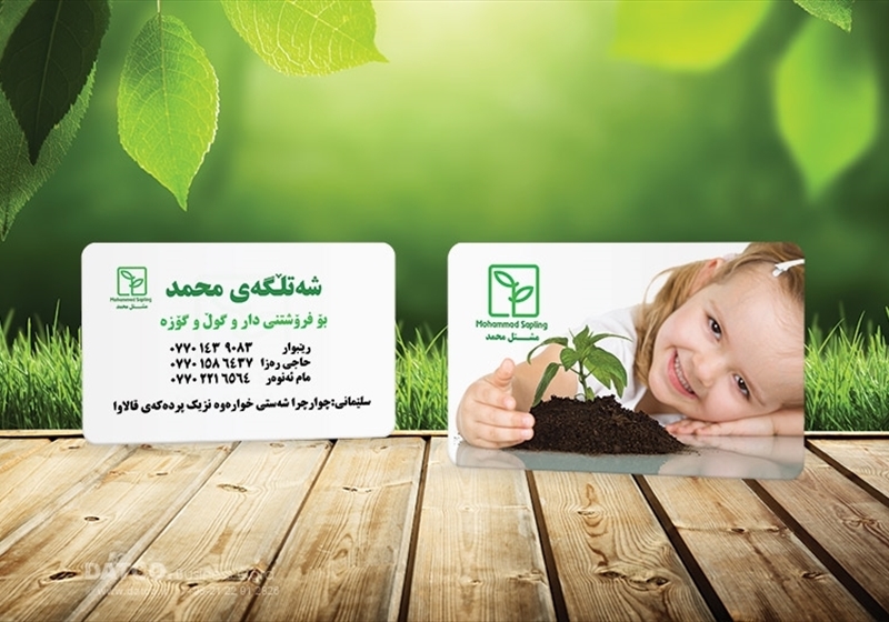 کارت ویزیت pvc - داتکو - 5513