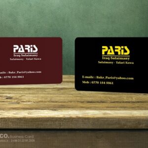 کارت ویزیت pvc - داتکو - 5519