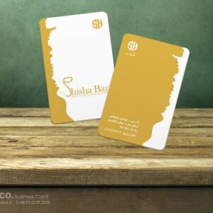 کارت ویزیت pvc - داتکو - 5521