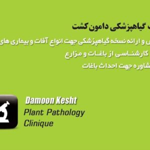 کارت ویزیت pvc - داتکو - 2252