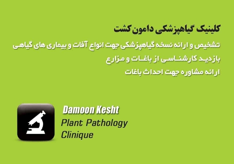 کارت ویزیت pvc - داتکو - 2252