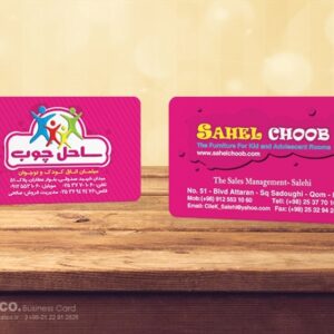 کارت ویزیت pvc - داتکو - 5531