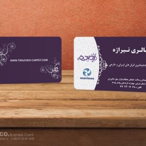 کارت ویزیت pvc - داتکو - 5571