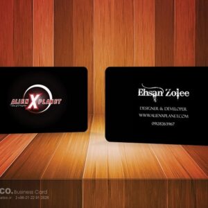 کارت ویزیت pvc - داتکو - 5593