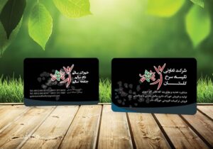 کارت ویزیت pvc - داتکو - 5601