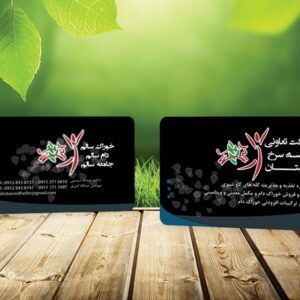 کارت ویزیت pvc - داتکو - 5601