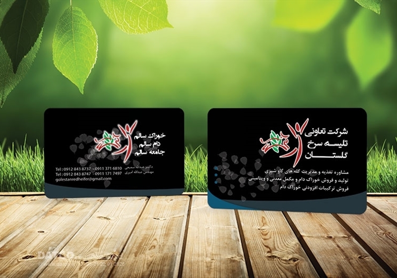 کارت ویزیت pvc - داتکو - 5601