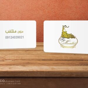 کارت ویزیت pvc - داتکو - 5657