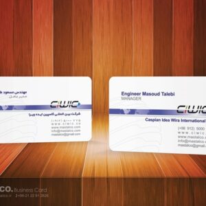 کارت ویزیت pvc - داتکو - 5663