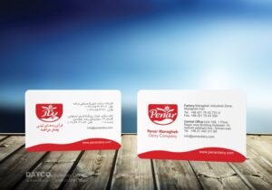 کارت ویزیت pvc - داتکو - 5669