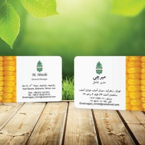 کارت ویزیت pvc - داتکو - 5683