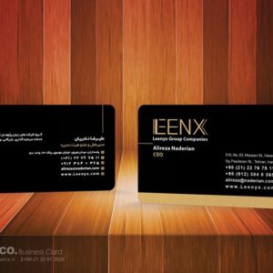 کارت ویزیت pvc - داتکو - 5691