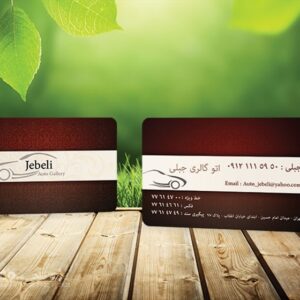 کارت ویزیت pvc - داتکو - 5707