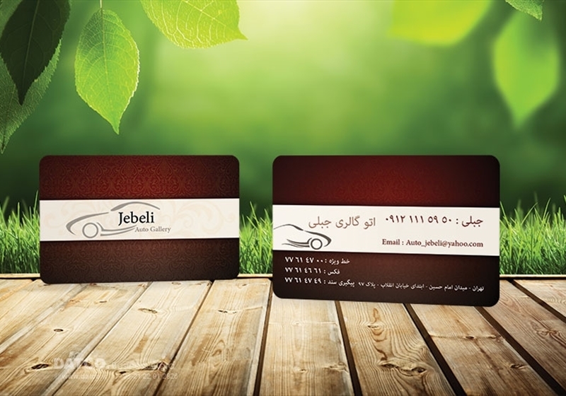 کارت ویزیت pvc - داتکو - 5707