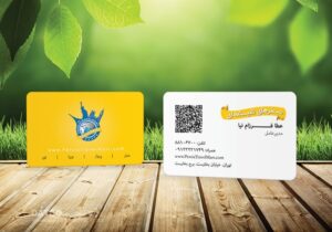 کارت ویزیت pvc - داتکو - 5726