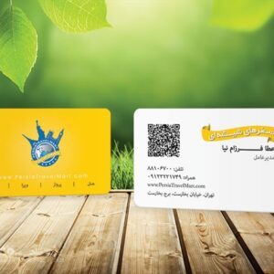 کارت ویزیت pvc - داتکو - 5726