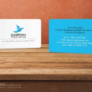 کارت ویزیت pvc - داتکو - 5732