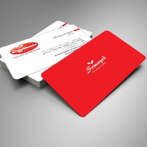 کارت ویزیت pvc - داتکو - 5820