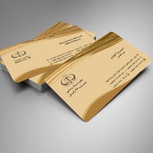 کارت ویزیت pvc - داتکو - 5844