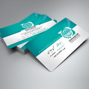 کارت ویزیت pvc - داتکو - 6039