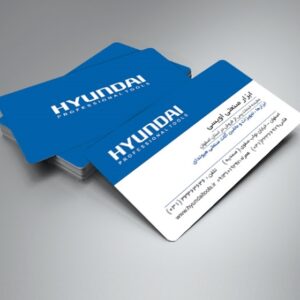 کارت ویزیت pvc - داتکو - 6089