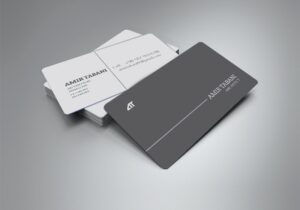 کارت ویزیت pvc - داتکو - 6113