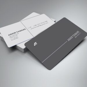 کارت ویزیت pvc - داتکو - 6113