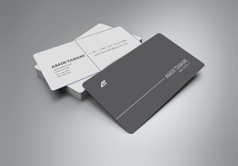 کارت ویزیت pvc - داتکو - 6113