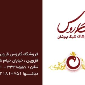 کارت ویزیت pvc - داتکو - 2317