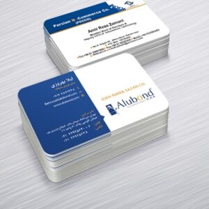 کارت ویزیت pvc - داتکو - 6271