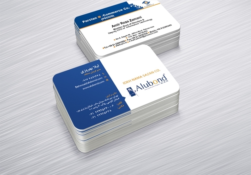 کارت ویزیت pvc - داتکو - 6271