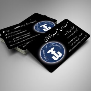 کارت ویزیت pvc - داتکو - 6321