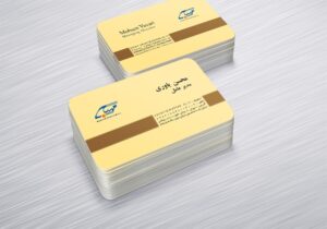 کارت ویزیت pvc - داتکو - 6363