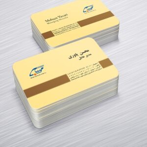 کارت ویزیت pvc - داتکو - 6363