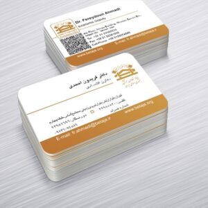 کارت ویزیت pvc - داتکو - 6384