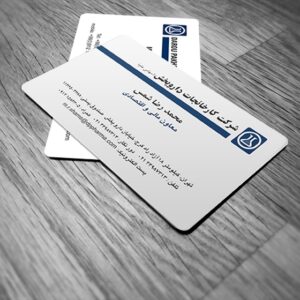 کارت ویزیت pvc - داتکو - 6402