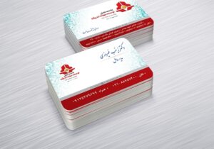 کارت ویزیت pvc - داتکو - 6404