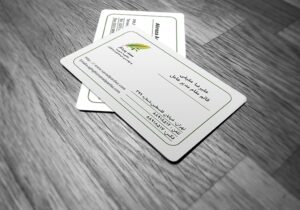 کارت ویزیت pvc - داتکو - 6420
