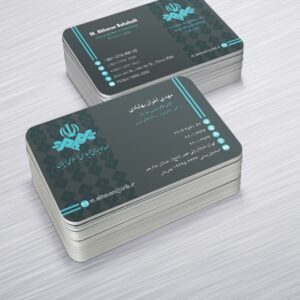 کارت ویزیت pvc - داتکو - 6426