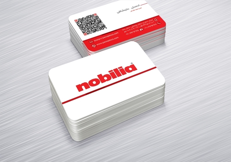 کارت ویزیت pvc - داتکو - 6454