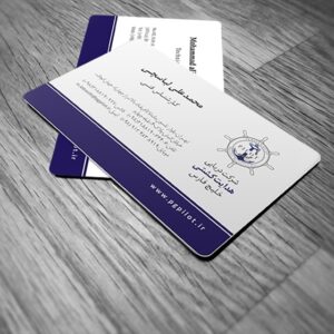 کارت ویزیت pvc - داتکو - 6551