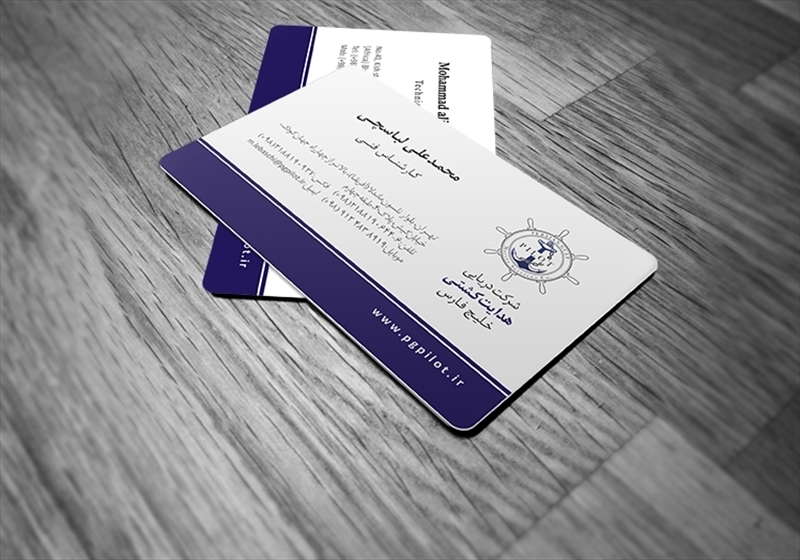 کارت ویزیت pvc - داتکو - 6551